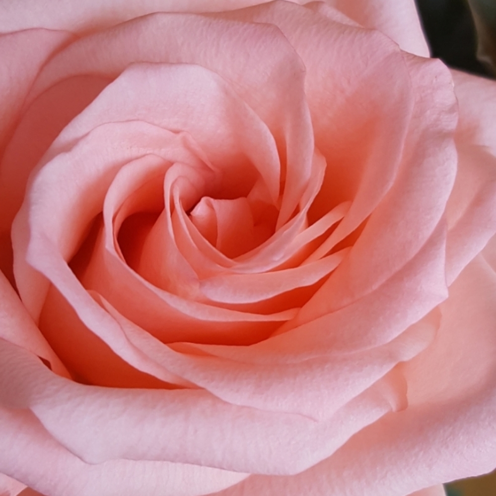 Bundle and save ❤❤❤❤❤